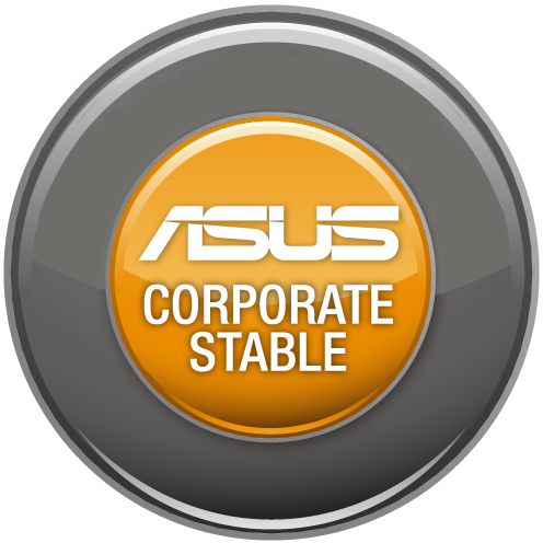 ASUS CORPORTAE STABLE MODEL