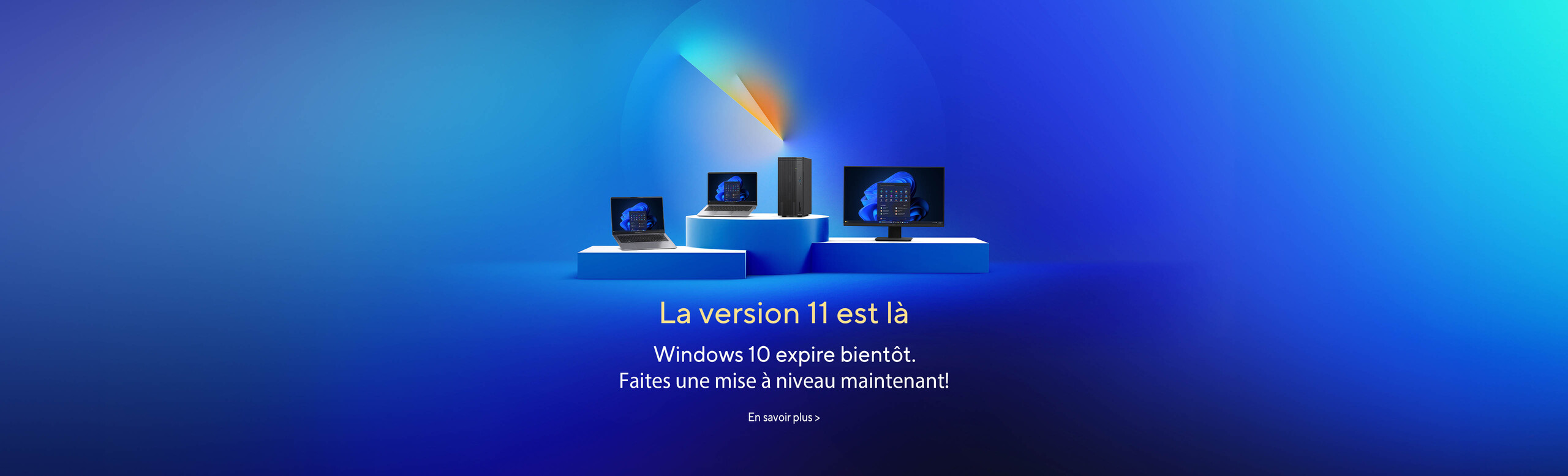 Windows 11