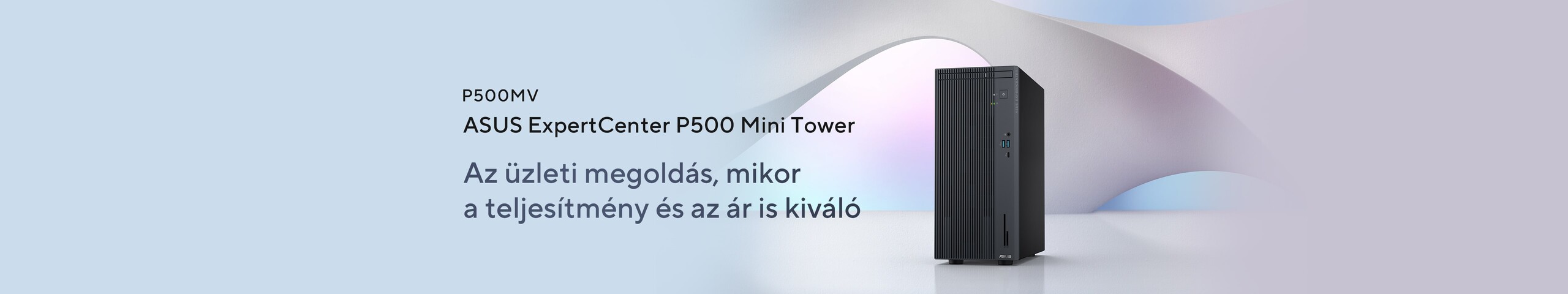 ASUS ExpertCenter P500 Mini Tower (P500MV)