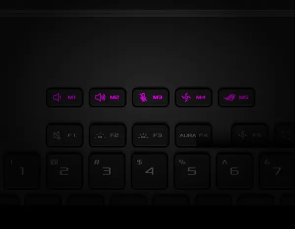 image of SSD storage location on the device