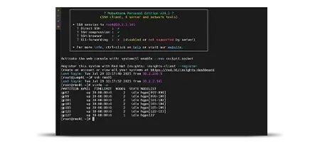 Screenshot shows the compute resources arrangement.