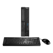 ASUSPRO D520SF