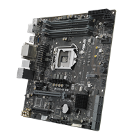 P10S-M WS