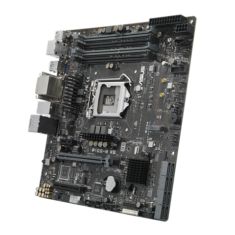 P10S-M WS