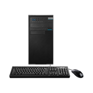 ASUSPRO D520MT