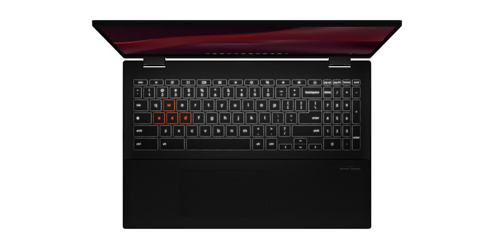 ASUS Chromebook Vibe CX55 Flip (CX5501)