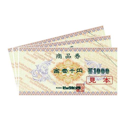 ビックカメラ商品券（3,000円分）