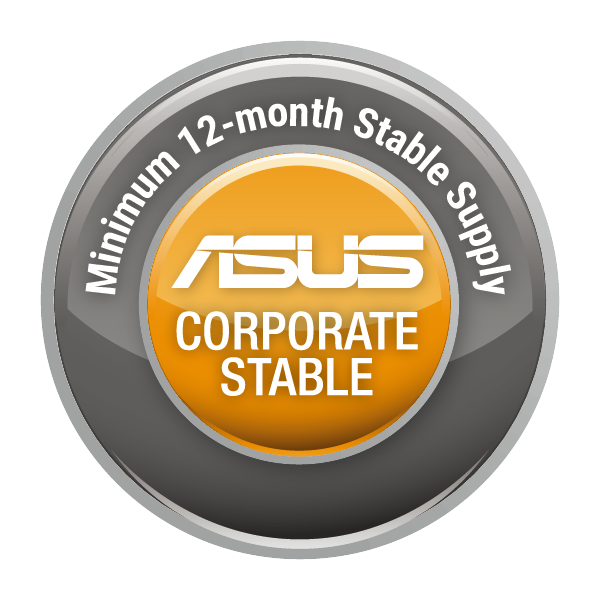 ASUS CORPORTAE STABLE MODEL