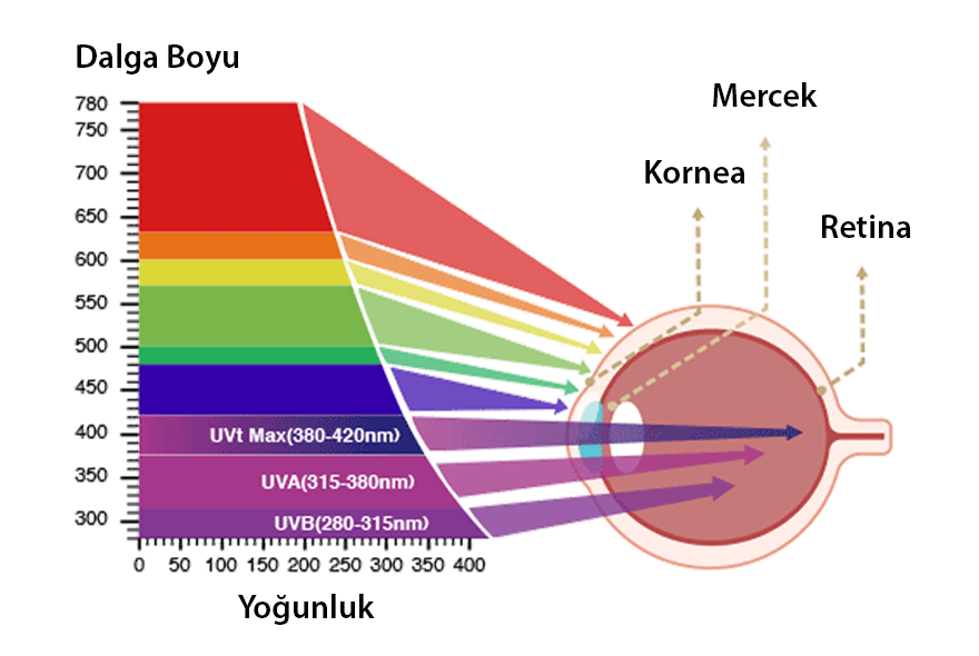 Mavi ışık gözlerinize nasıl zarar verir?