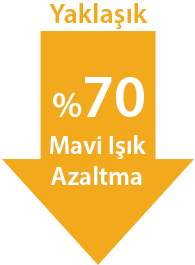 Level 4
