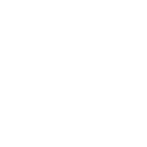 Check Repair Status