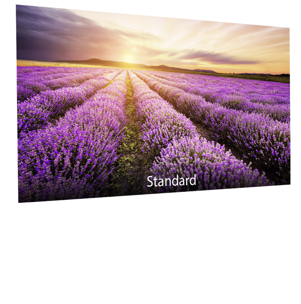 ASUS-Designo-BE24EQSB-blue-light-filter-standard